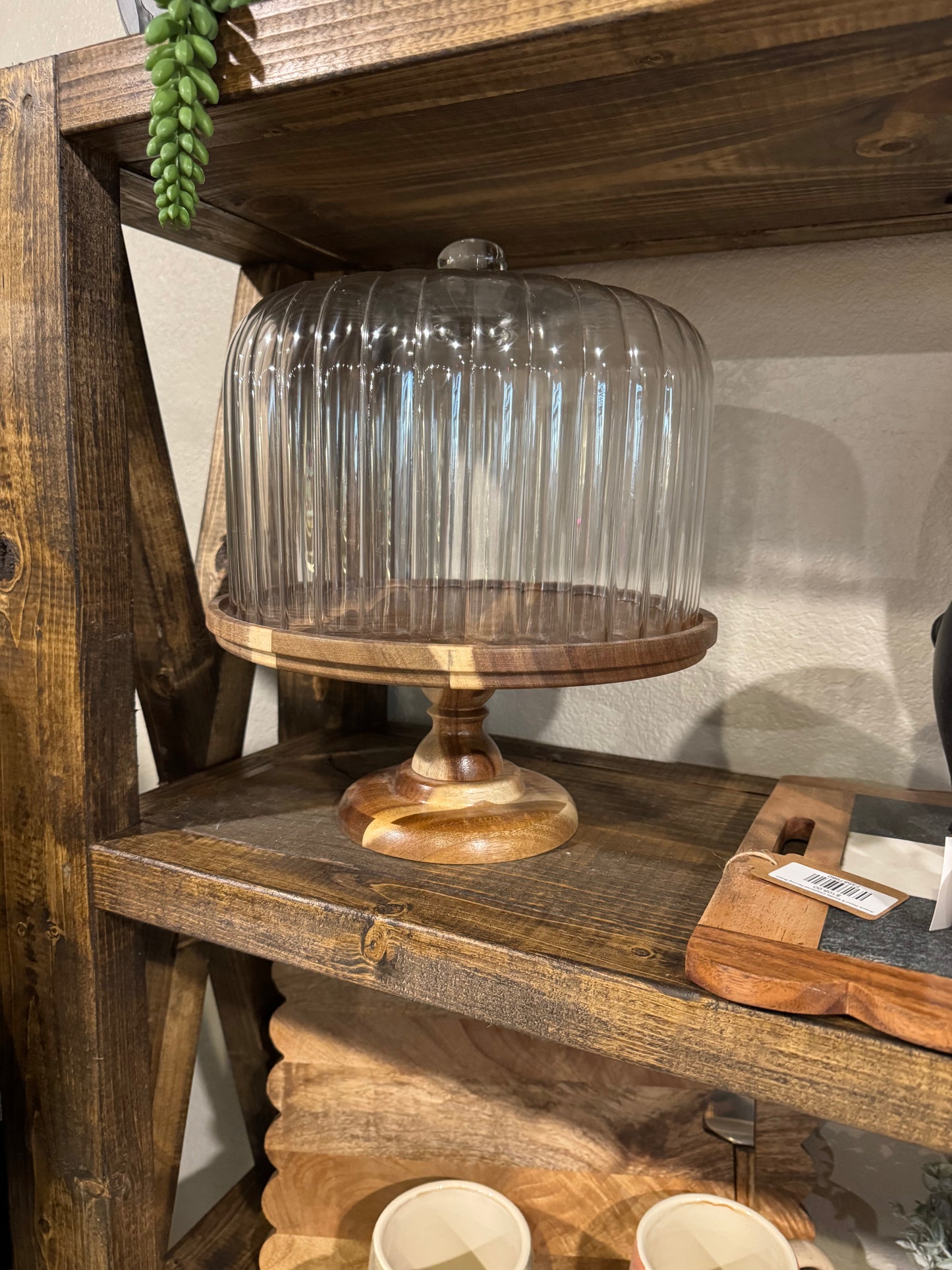 Acacia Wood Pedestal Glass Cloche Set