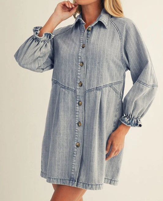 Denim Button Down Pinstriped Dress